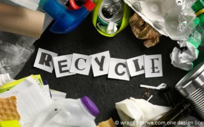 Recycling im Einzelhandel: Wie Unternehmen Umweltbewusstsein fördern